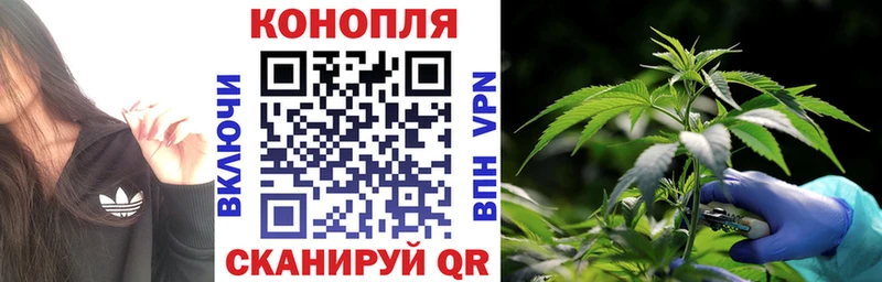 Конопля гибрид  цена   Коммунар 